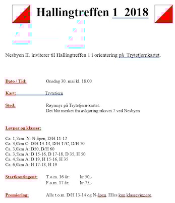 Hallingtreff 1 på Nesbyen